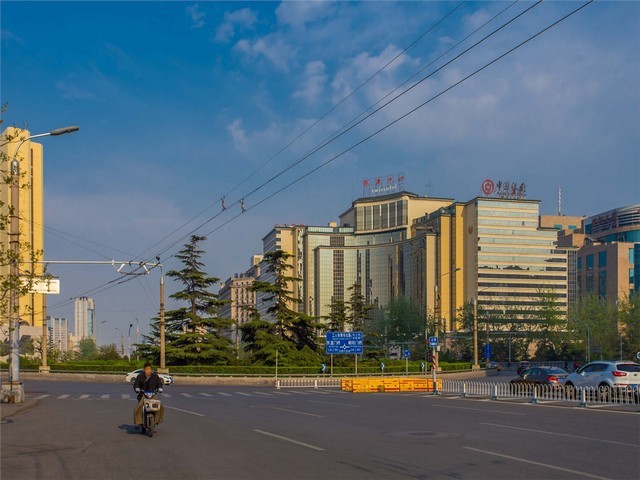 青浦锦鲤鱼池养护公司怎么选